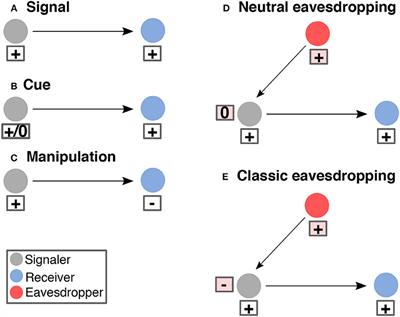 Unclear Intentions: Eavesdropping in Microbial and Plant Systems